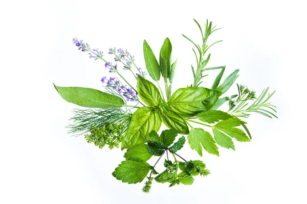Połączenie aromatów i smaków w niezwykłym bukiecie ziołowym — Zdjęcie stockowe