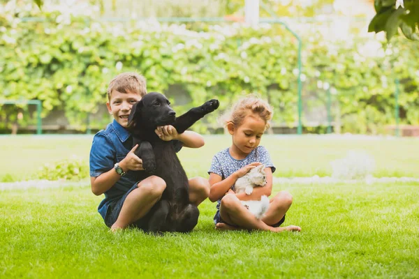 Les enfants apprennent à être attentionnés et aimants propriétaires d'animaux domestiques — Photo