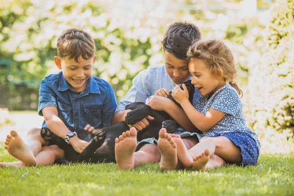 El primer encuentro de niños con una nueva mascota — Foto de Stock