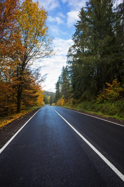 Hermoso camino de asfalto con hojas amarillas en los árboles — Foto de Stock