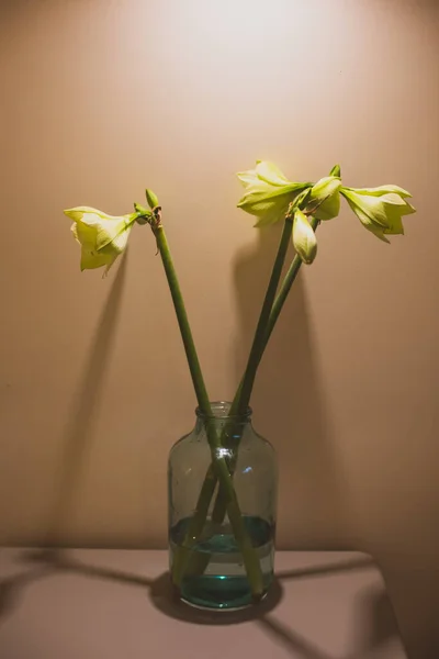 Simplicidad y minimalismo en el diseño de flores para el hogar — Foto de Stock