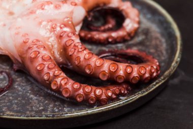 Koyu seramik tabakta ahtapot dokunaçları