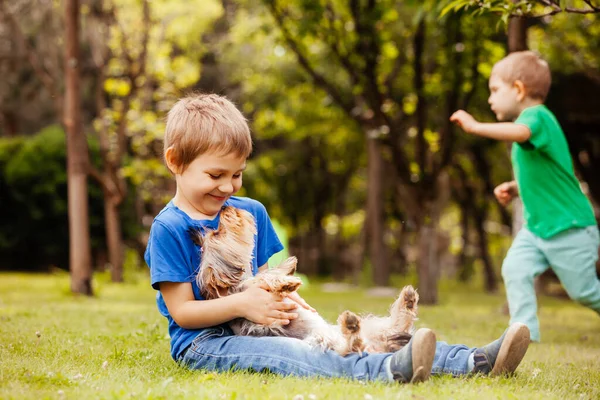 Harmonious childrens life with a four-legged friend — Stock Photo, Image