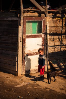 SEREDNIE, UKRAINE - 09 Mart 2011: Roman çocuğu kendi kendini yetiştirmiş