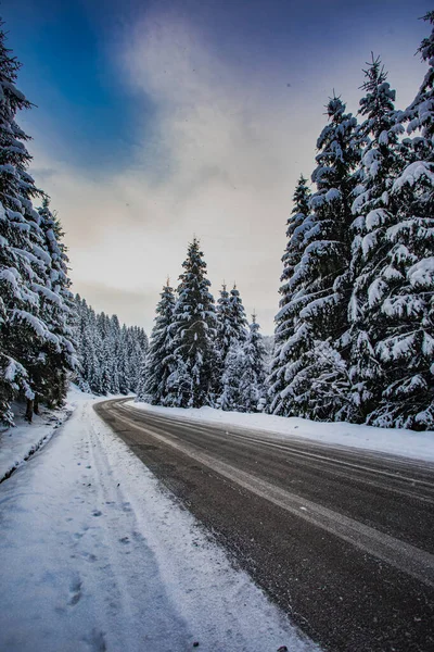 Kar fırtınası tehlikeliyken dağ yolu — Stok fotoğraf