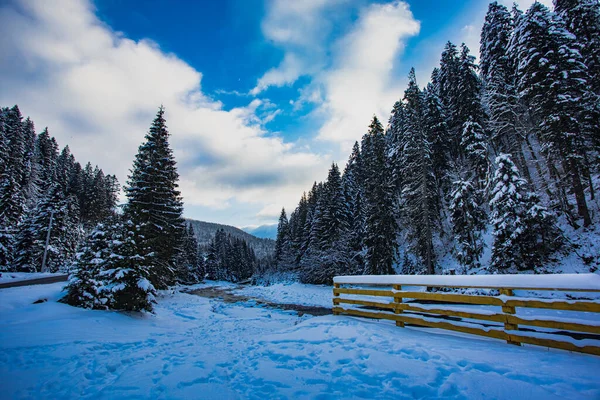 小河流过白雪覆盖的山谷 — 图库照片