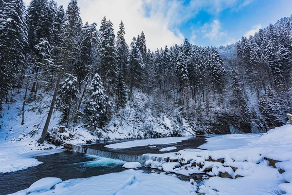 Прекрасный зимний пейзаж со снежными елками и рекой — стоковое фото