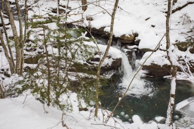 Akıntı karlı bir ormanda akıyor.