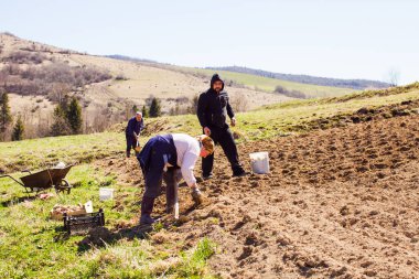 Başarılı çiftçilik zor bir aile işidir.