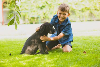 Yavru köpek tüm sevgisini genç sahibine veriyor.