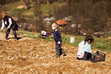 Başarılı çiftçilik zor bir aile işidir.