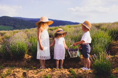 Üç sevimli çocuk, erkek ve iki kız kardeş.