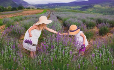 İki tatlı kız kardeş güzel doğada seyahat eder.