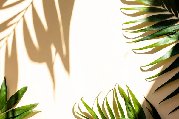 Stylish mock up of palm leaves and shadows