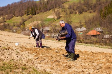 Başarılı çiftçilik zor bir aile işidir.
