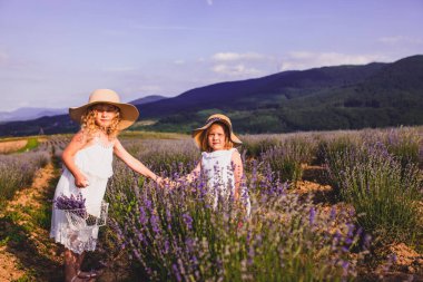 İki küçük kız kardeş köyün yakınındaki bir tarlada lavanta çiçeği topluyor.