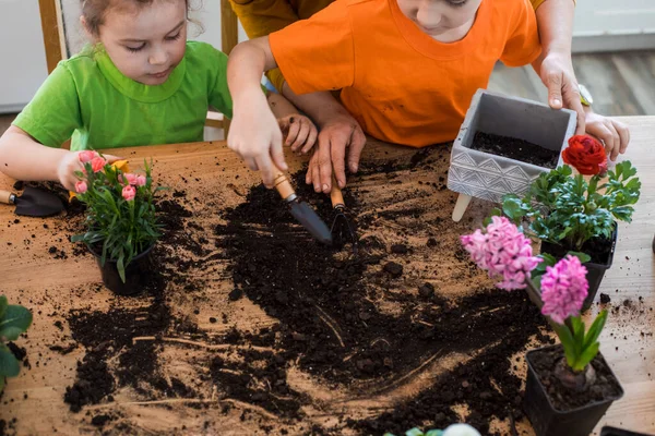 Mess and dirt on a table while spring home flowers planting