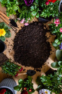 Toprağın etrafında duran saksılardaki çeşitli çiçeklerin üst görüntüsü