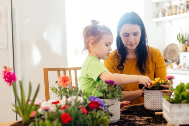 Küçük yardımcı eve çiçek ekerken anneye yardım ediyor.