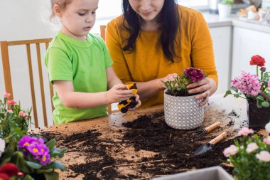 Öğrenme sürecine bazı oyun unsurları ekleniyor