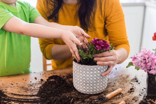 Adding some game elements into learning process