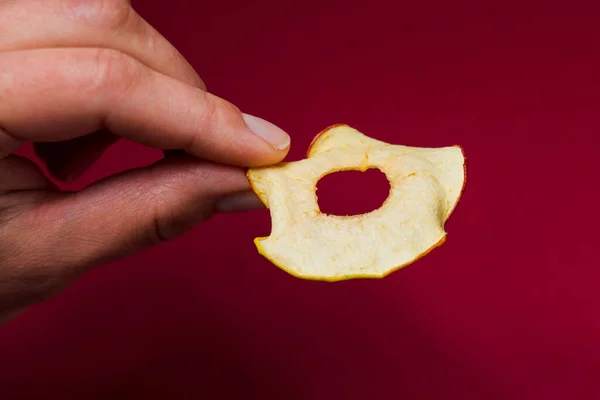 Femme main prendre une tranche de pomme séchée ronde — Photo