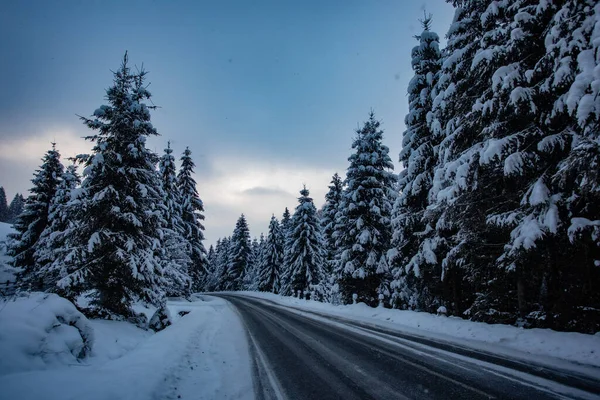 风暴期间山中的冬季道路 — 图库照片