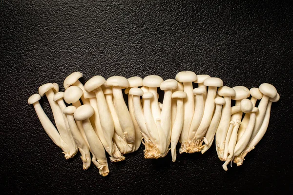 Shimeji mushroom or White beech mushrooms on black background. Royalty Free Stock Images