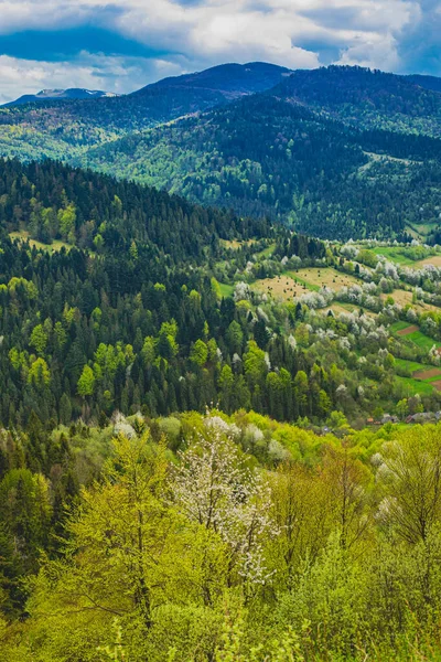 Maravilhosa paisagem de primavera nas montanhas com árvores floridas — Fotografia de Stock