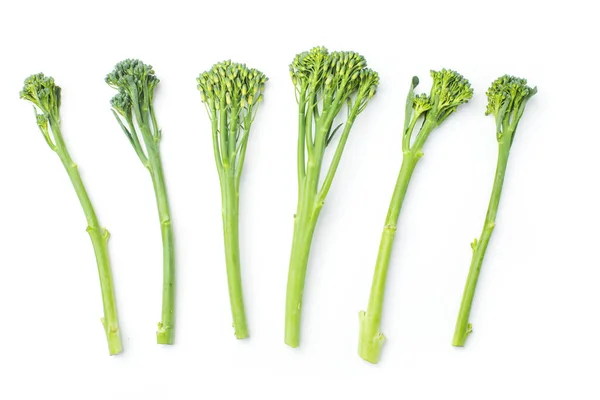 Raw broccolini at the row on white background — Stock Photo, Image