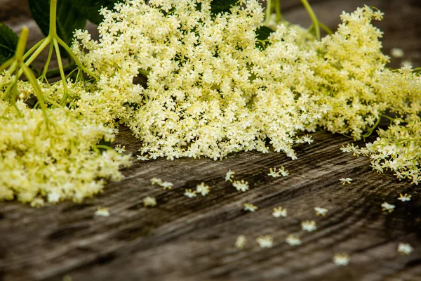 The wonderful white elderberry flowers on a wooden table — Stock Photo, Image