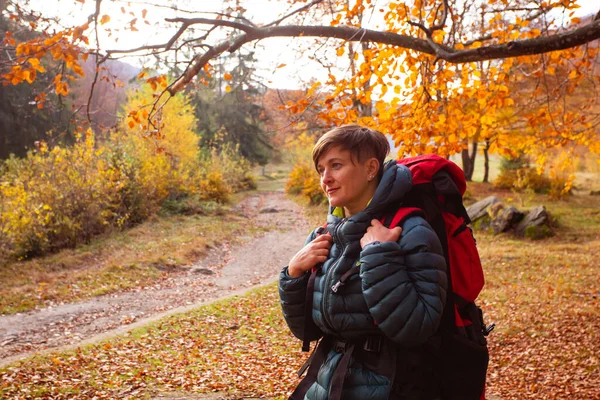 A mulher caminhante viaja na floresta está olhando ao redor — Fotografia de Stock