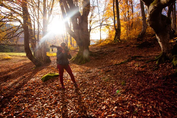 La mujer excursionista viaja por el bosque está mirando a su alrededor — Foto de Stock