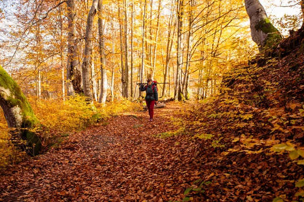 De vrouwelijke wandelaar reist door het bos en kijkt rond. — Stockfoto