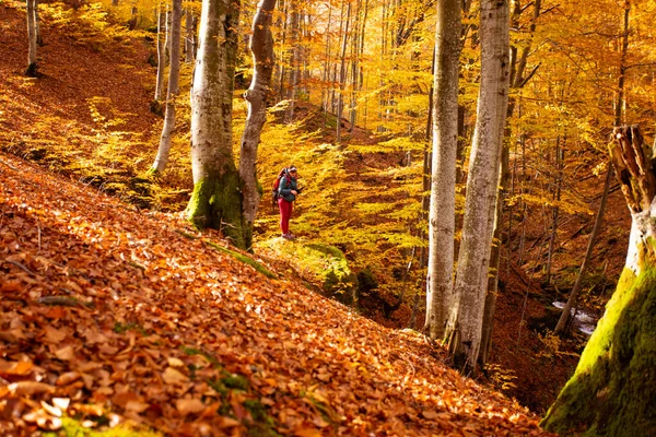 Vrouw staat op de grote steen in het herfstbos — Stockfoto