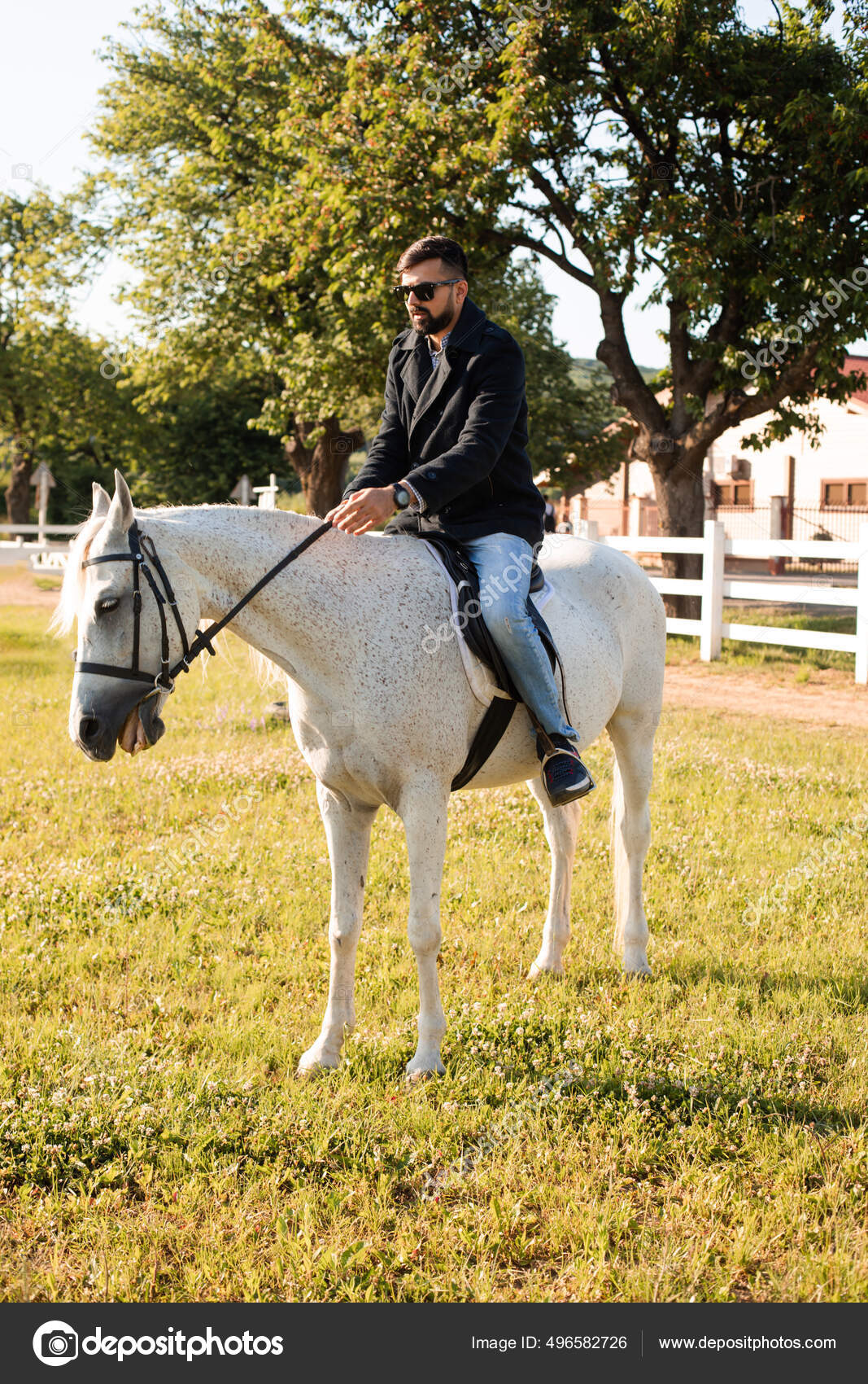 Ебет лошадь Молодой человек едет на лошади по ферме — Стоковое фото © oksixx #496582726