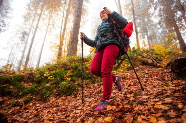Güzel sonbahar ormanlarında yürüyüş yapan aktif bir kadın.