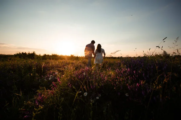 Casal encantador andando no campo de verão — Fotografia de Stock