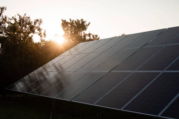 Концепция сбора экологической энергии с солнечных панелей — стоковое фото