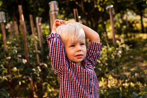 Pojken med blont hår sitter mellan kålhuvuden — Stockfoto