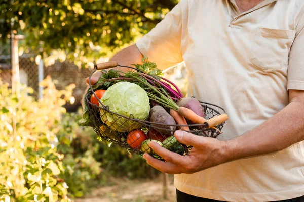 Ο μικρός αγρότης κρατά ένα καλάθι με φρέσκα λαχανικά — Φωτογραφία Αρχείου