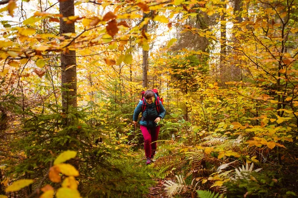 Yürüyüşçü kadın sonbahar ormanlarında seyahat etmekten hoşlanır. — Stok fotoğraf