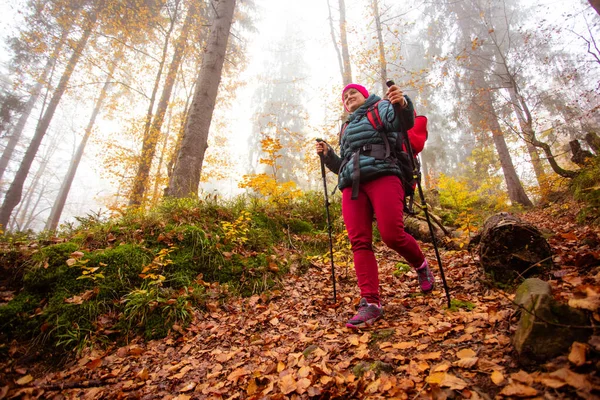 Donna attiva escursioni nella bellissima foresta autunnale — Foto Stock