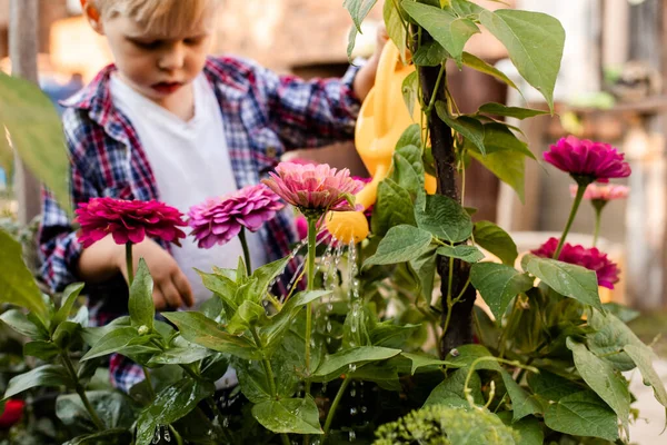 The toddler is watering flowers in the garden using a watering can — Stock Photo, Image