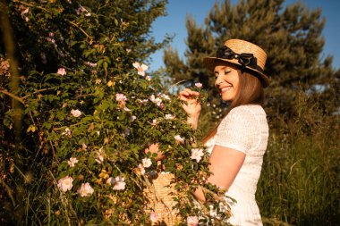 Kokulu bitki çayı için yabani gül yaprakları topluyorum.