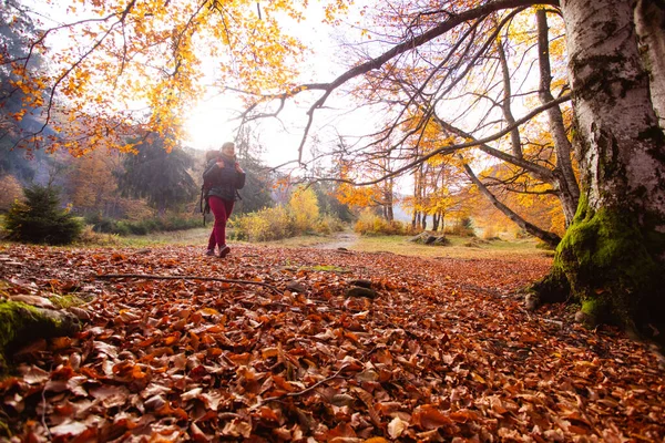 De vrouwelijke wandelaar reist door het bos en kijkt rond. — Stockfoto