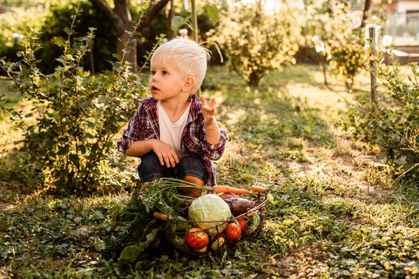 Copilul examinează un coș de legume — Fotografie, imagine de stoc