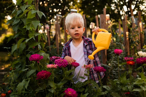 The toddler is watering flowers in the garden using a watering can — Stock Photo, Image