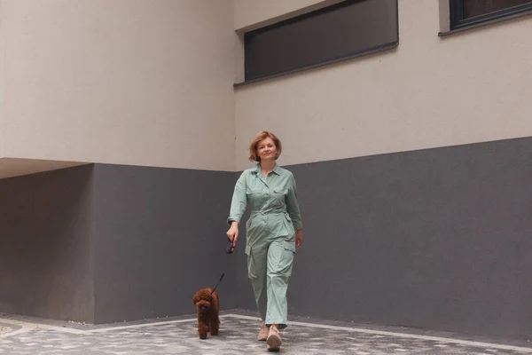 Mujer caminando en la ciudad con perrito de juguete marrón — Foto de Stock