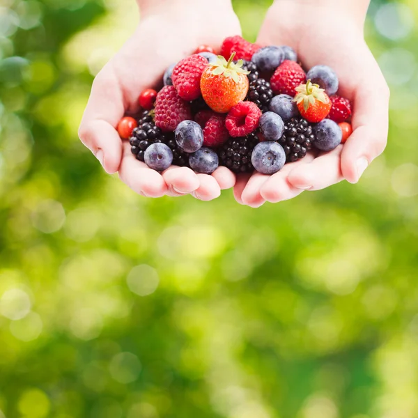 Beeren in Händen — Stockfoto